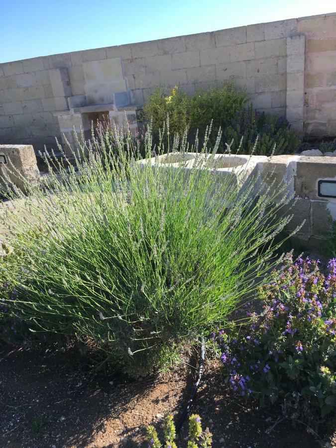 Masseria Asteri B&B Cannole Zewnętrze zdjęcie